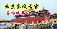 我要看男人日逼大黄片中国北京-东城古宫旅游风景区