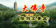 骚逼操出水了啊～视频中国浙江-新昌大佛寺旅游风景区